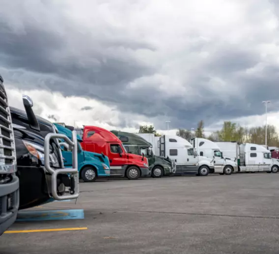 Several semi trucks in different colors parked in a row.