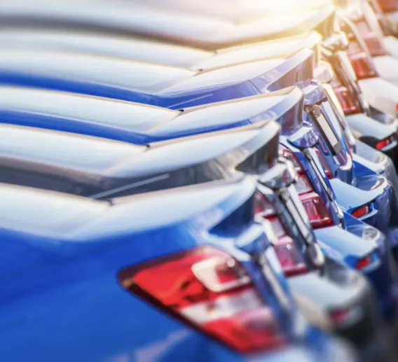 Line of cars in a parking lot.