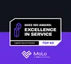 ISO Excellence in Service Award graphic